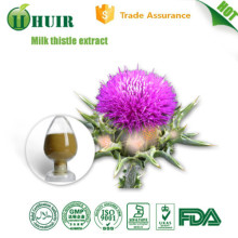 Natural Organic Milk Thistle Seed Extract powder