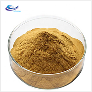 Olive Leaf Powder Extract Oleuropein Dietary Supplement