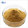 Olive Leaf Powder Extract Oleuropein Dietary Supplement