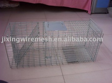 Cat Trap Cages