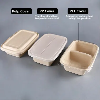Disposable Biodegradable Fast Food Pulp Lunch Burger Box