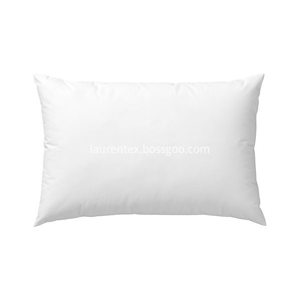 pillow insert 0