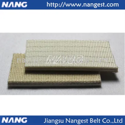 Canvas Conveyor Belt (Nylon/EP/Cotton)