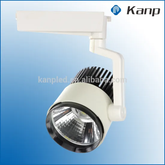 30W Sharp COB Ship CRI>80 Gallery Led Spot Track Lighting