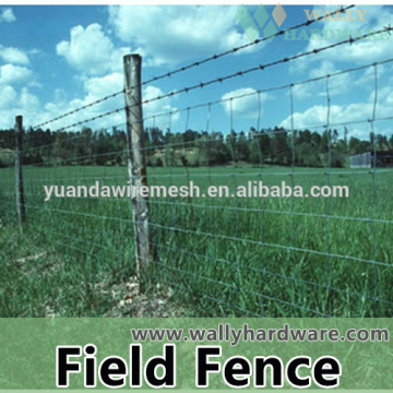 FILED WIRE MESH