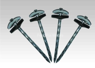 galvanized roofing umbrella nails
