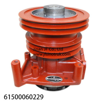 61500060229 Weichai Water Pump