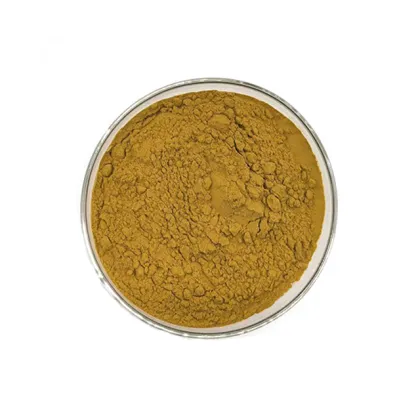CNCSBIO bulk chaga mushroom extract powder
