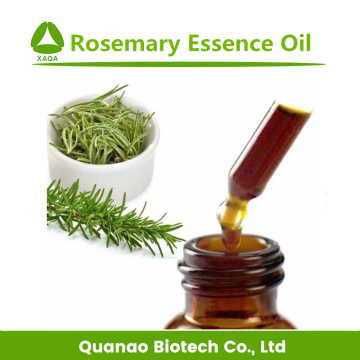 Rosemary Leaf Extract Essential Oil Cosmetics Grade