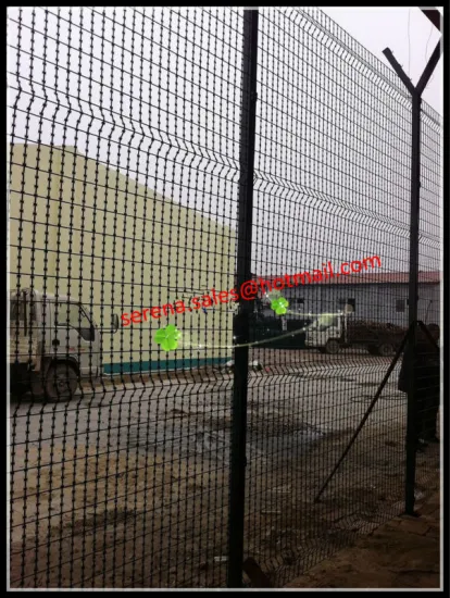 PVC powder coating diamond weld razor wire mesh (made in China)