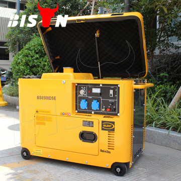 Bison Multifunctional 5000W Silent Diesel Generator