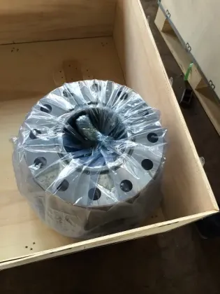 Forging Stainless Steel Flange Sw/Socket Weld Flange