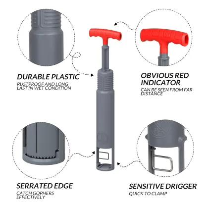 Effektive Schonende Schadlingsbekampfung Fur Ihren Garten in der Schweiz