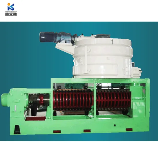 10 Tons Per Day Peanut Oil Groundnut Oil Huile D′arachide Press Machine, Peanut Oil Cold Press Machine