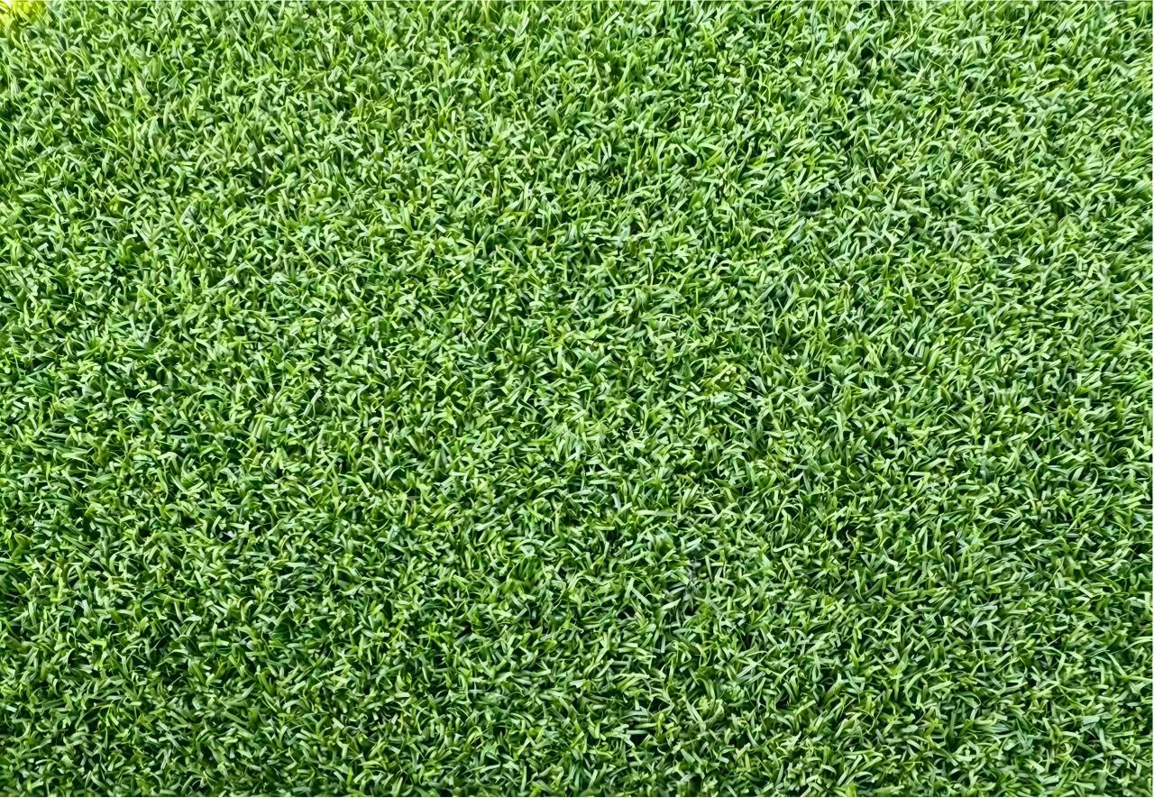 Finished synthetic golf green turf installed with a clean seamless joint
