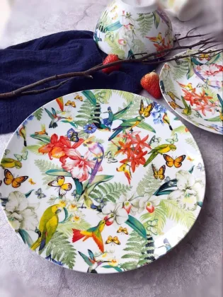 Fruit series ins style steak plate dinner plate