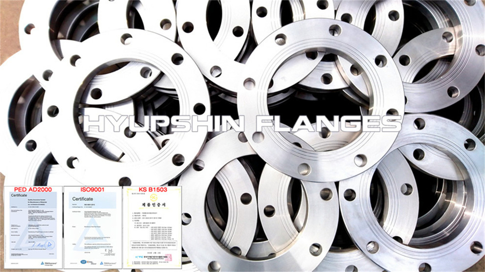 Hyupshin Flanges Din2576 2501 Plate