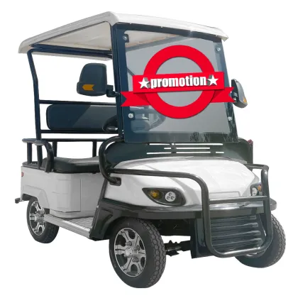 Isv Vehicle Electrique 2024: Mini Electric Golf Cart