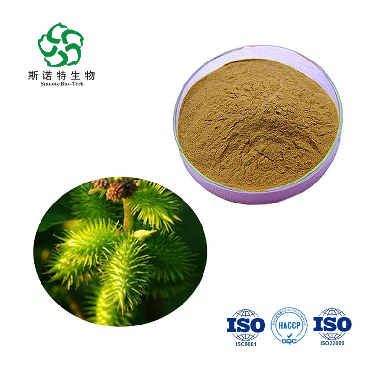 Xanthium Sibiricum Extract