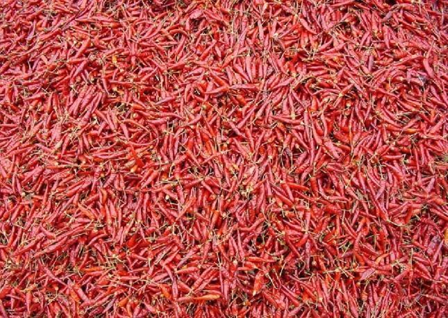 Chaotian Red Chili