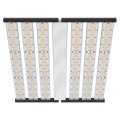 /msite/products/detail/productid/61976022/id/542345.html