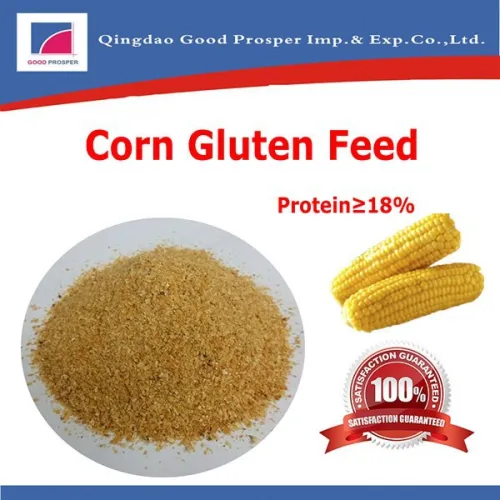 Maize Bran/corn Bran Gluten Feed, High Quality Maize Bran/corn Bran Gluten Feed on