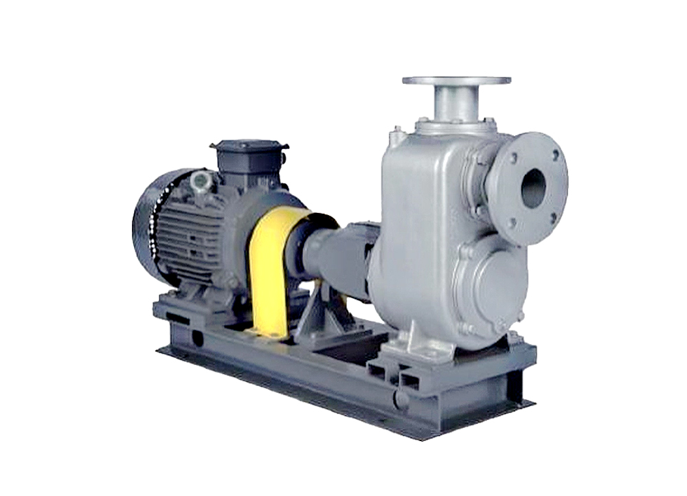 LSGLSK Self-priming Pump LSGLSK Z