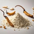 Cordycepin powder for sale