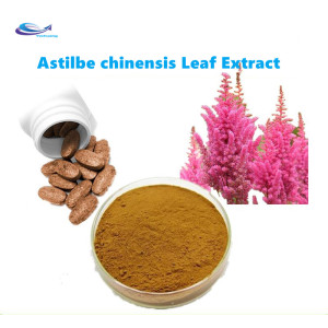 Astilbe chinensis Leaf Extract Powder 10:1 benefits