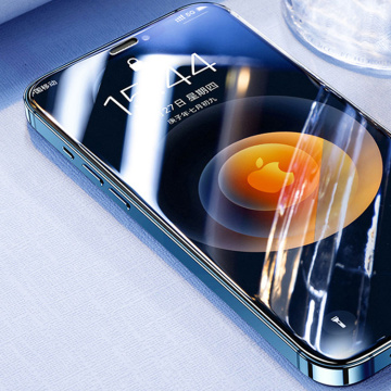 3D Tempered Glass Privacy Full Screen Protector iPhoneX