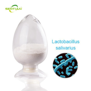 100billion Inhibit Oral Bacteria Lactobacillus Salivarius
