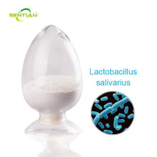 100billion Inhibit Oral Bacteria Lactobacillus Salivarius