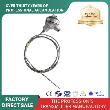 Industrial N-Grade Explosion-Proof Thermocouple With Bellows