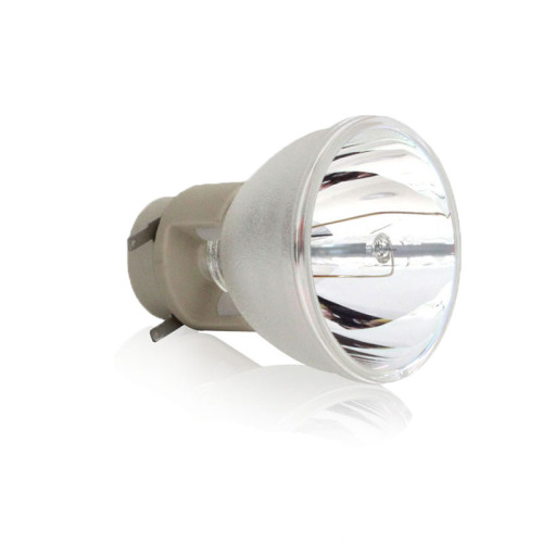 Lampu Projektor Penggantian RLC-109 untuk VIEWSONIC PA503W