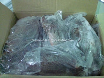 Tilapia (300-500G)