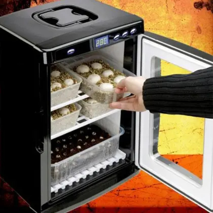 Wholesale Mini Automatic Temperature Hatchery Egg Incubators