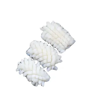 IQF Frozen Squid Flower Peru Squid