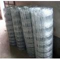 High Tensile fixed knot field fencing from factory