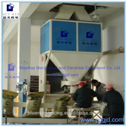 BlueRay DCS-50SK high-speed 50kg lotus seeds packaging machine
