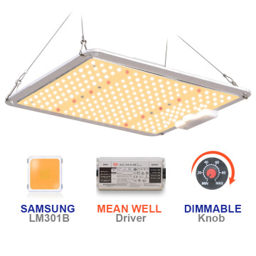 Le migliori prestazioni Quantum Grow Light 110W