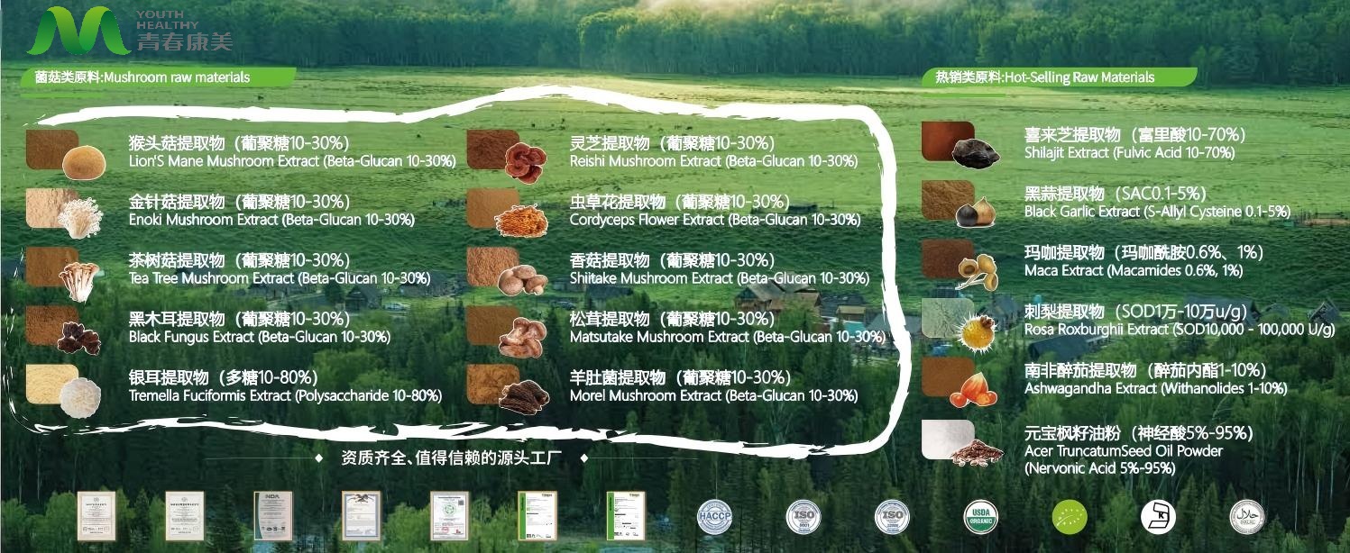 mushroom extract