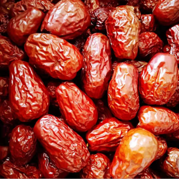 Chinese Jujube Dried fruit With New Crop dates