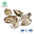 Food Supplements Powder Oyster Peptide