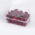 Pet Fruit Tray Clear Fruit Tray