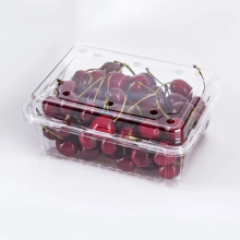 Pet Fruit Tray Wegwerp Fruit Tray