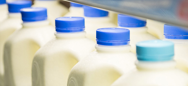 Pasteurization 