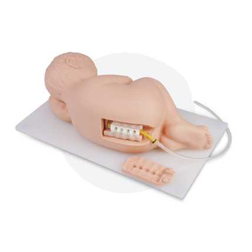 Baby Lumbar Puncture Model Infant Lumbar Puncture Model Factory