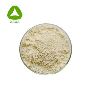 Bulk White Kidney Bean Extract Phaseolin 1% Powder