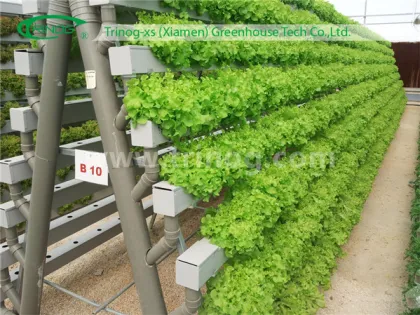 Hydroponics Growing Channels (NFT)