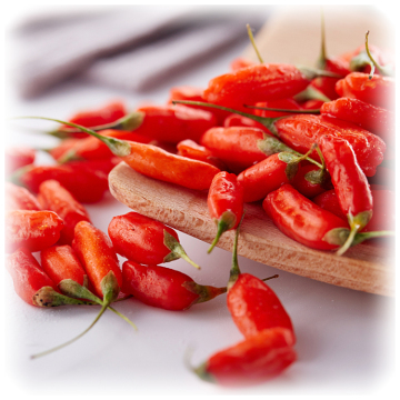 Red Power QIZITO 100% Natural Bulk Chinese Ningxia Zhongning Dried Fruit Red Organic Lycium Barbarum